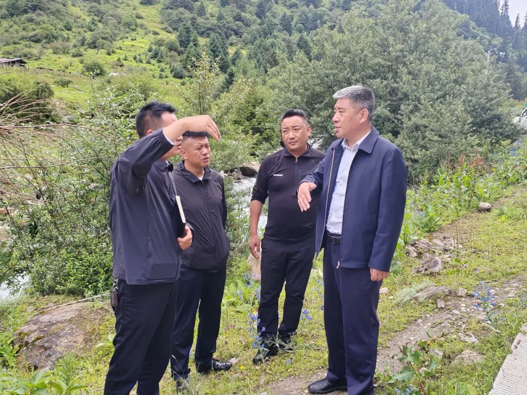 图片 图片